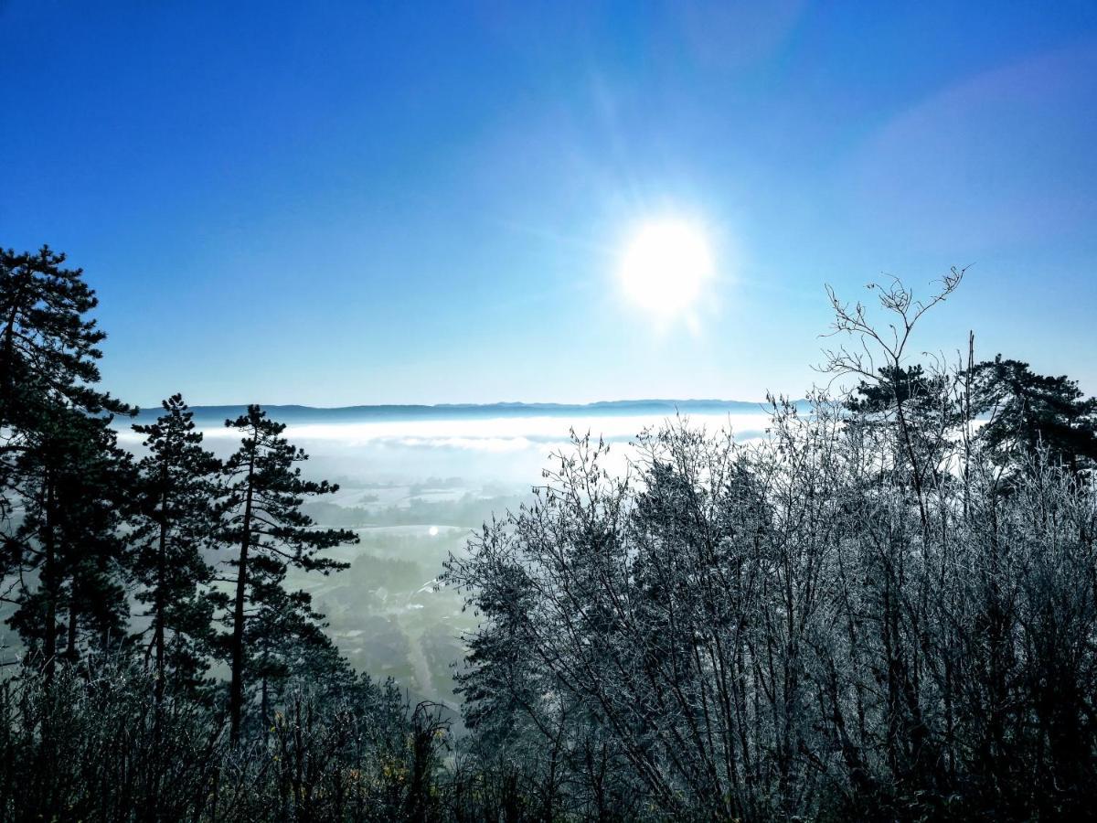 Appartement La Bernardine Au Coeur Du Jura Orgelet Bagian luar foto